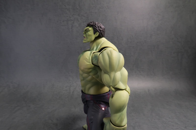 S.H.Figuarts ハルクの写真