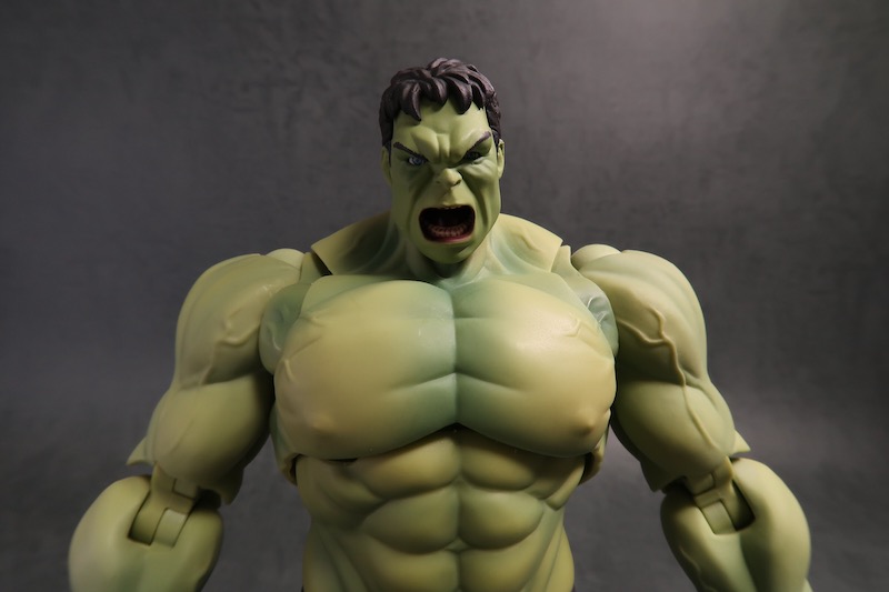 S.H.Figuarts ハルクの写真