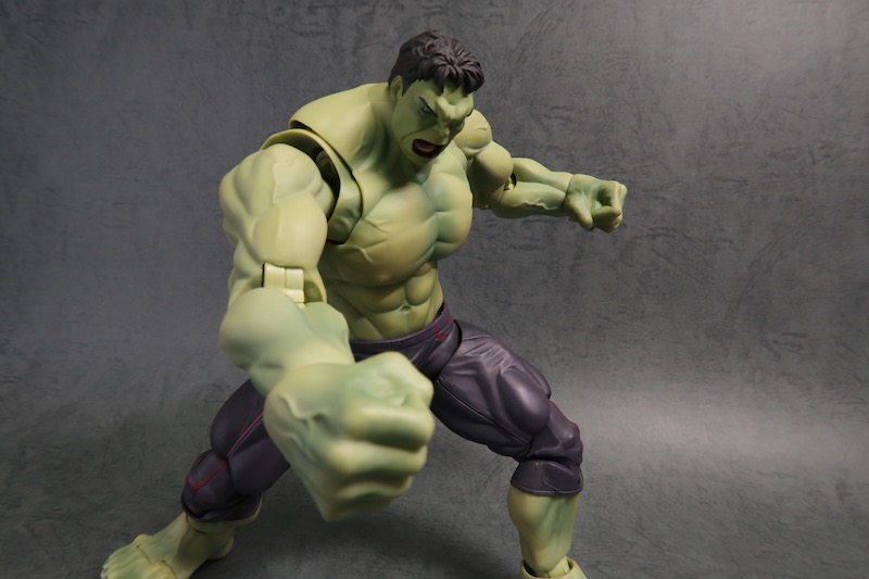 S.H.Figuarts ハルクの写真