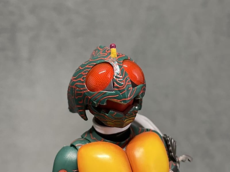 S.H.フィギュアーツ 真骨彫 仮面ライダーアマゾンの写真