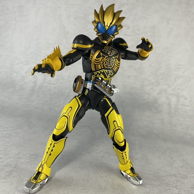 S.H.フィギュアーツ 真骨彫製法 仮面ライダー オーズ